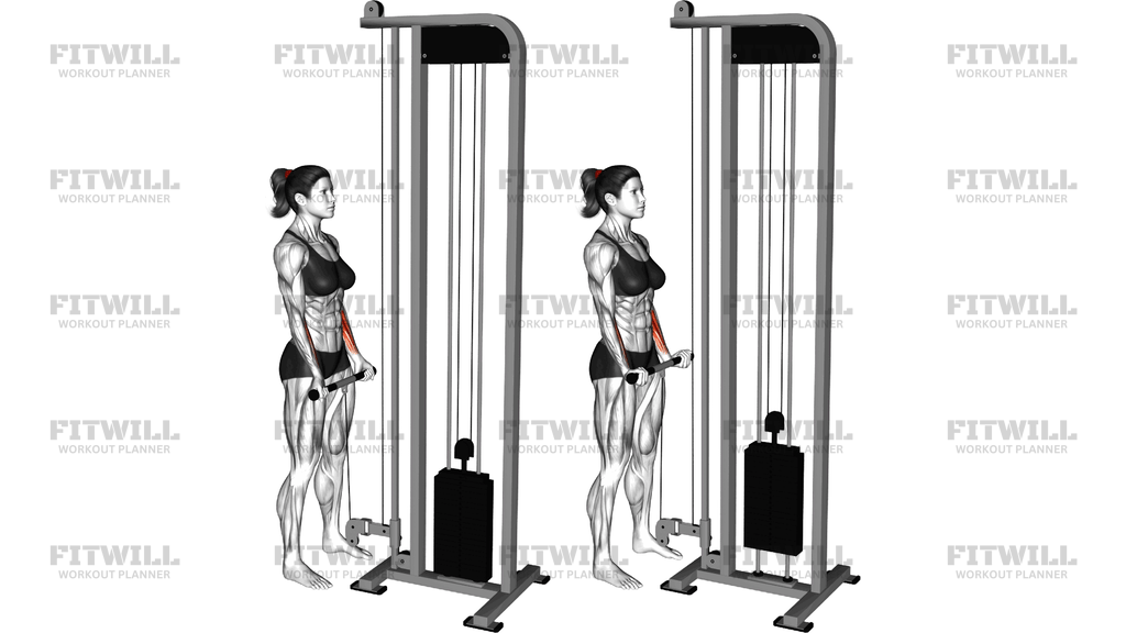 Cable Standing Wrist Curl