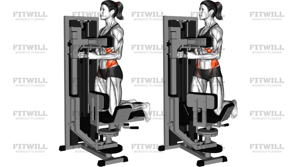Lever Kneeling Twist