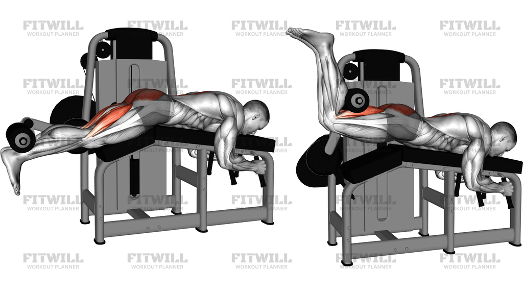 Lever Lying Leg Curl To Reverse Hyperextension
