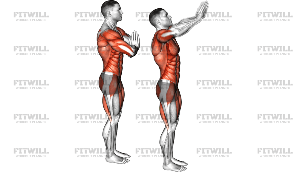 Sun Salutation A