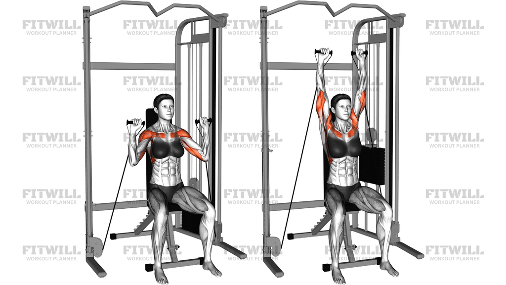 Cable Seated Shoulder Press