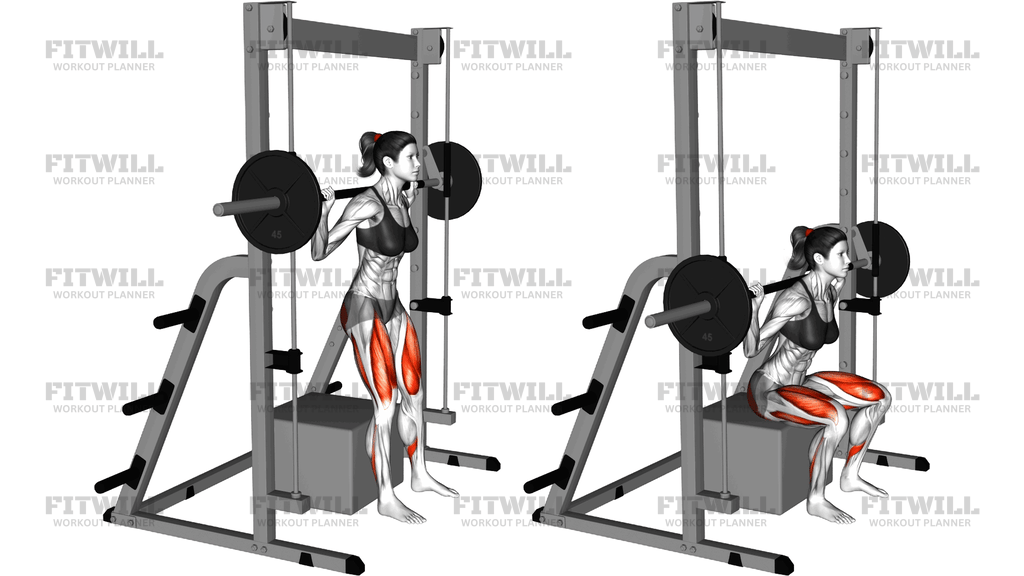 Smith Box Squat