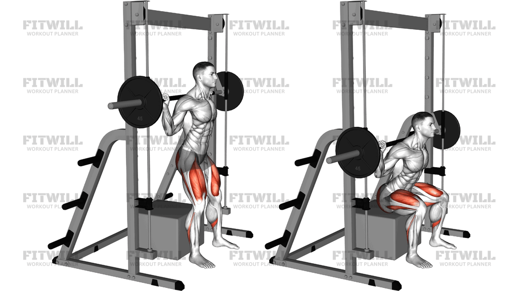 Smith Box Squat