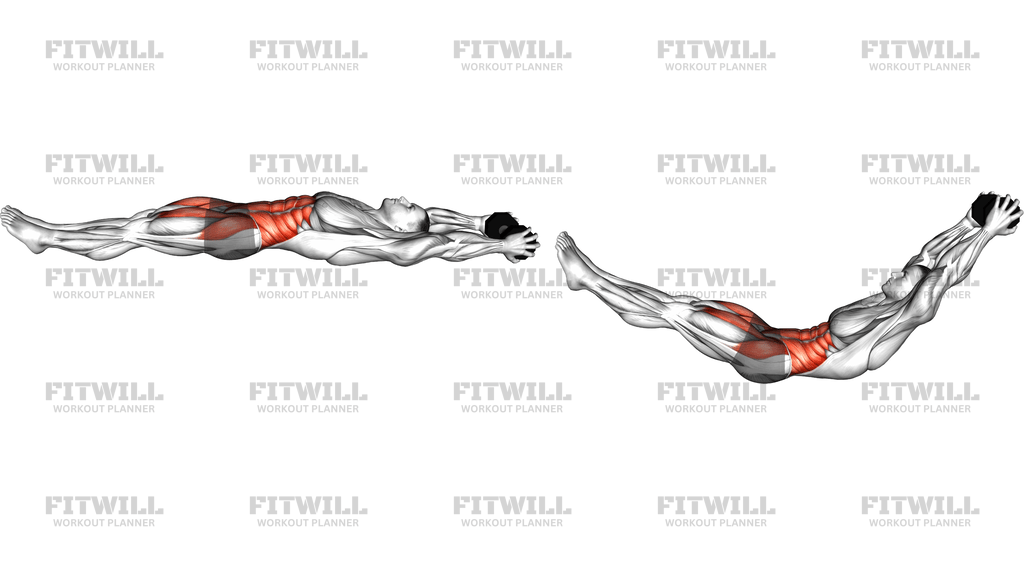 Weighted Dumbbell Hollow Hold