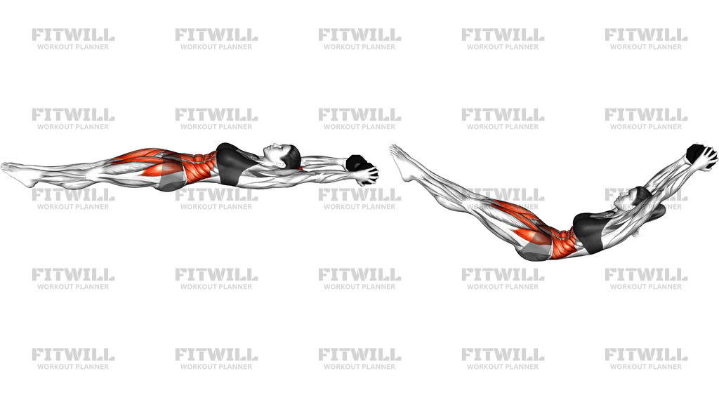Weighted Dumbbell Hollow Hold