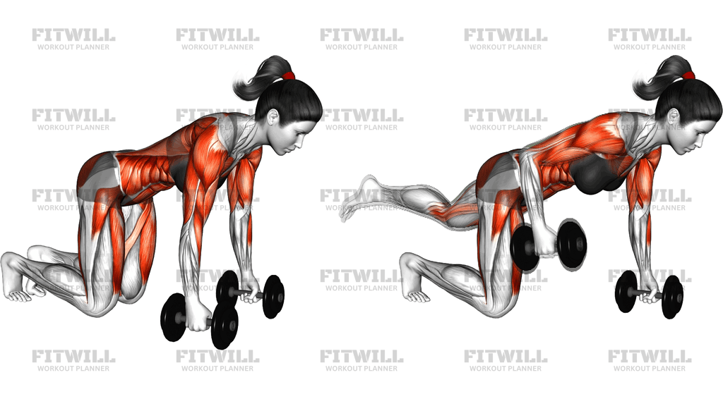 Dumbbell Bird Dog Row