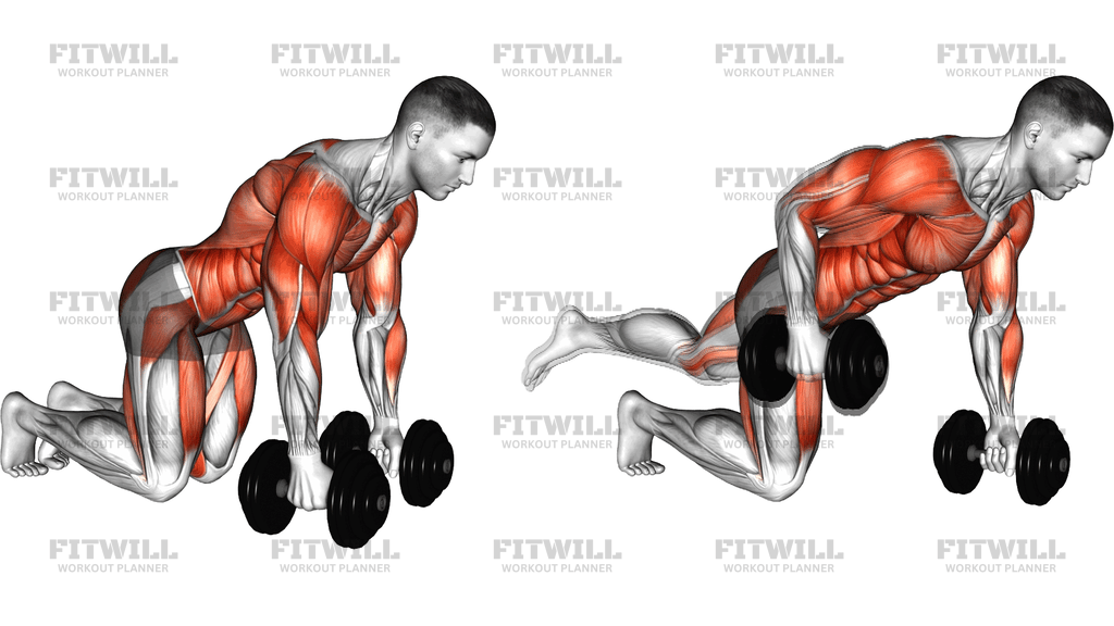 Dumbbell Bird Dog Row