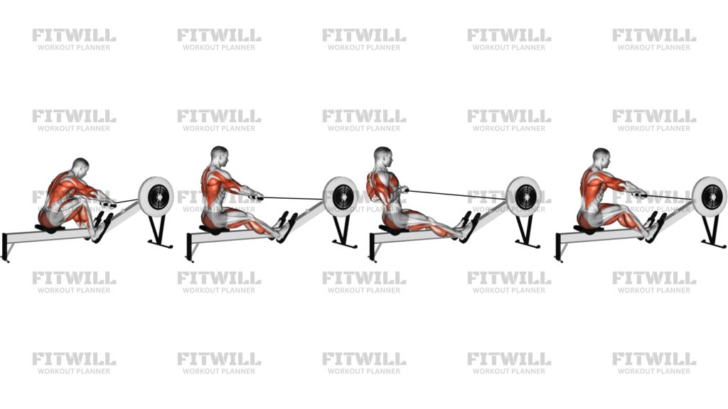 Rowing With Rowing Machine