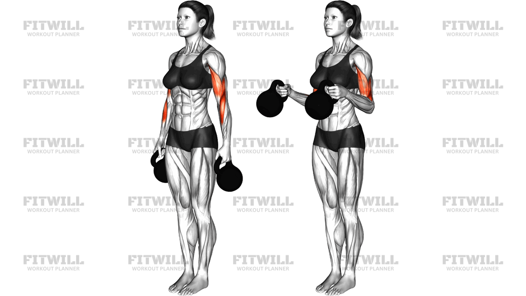 Kettlebell Standing Hammer Curl