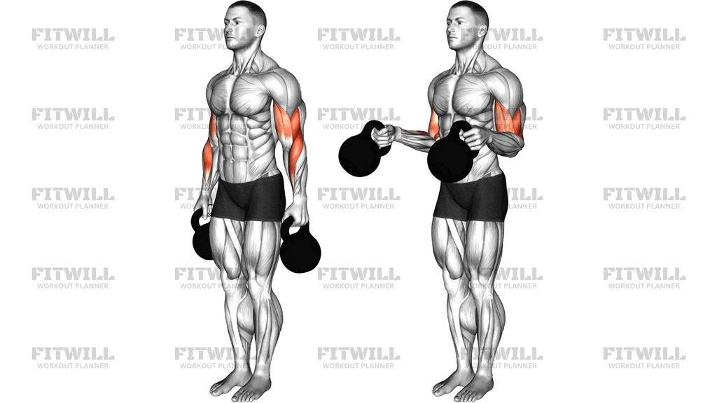 Kettlebell Standing Hammer Curl
