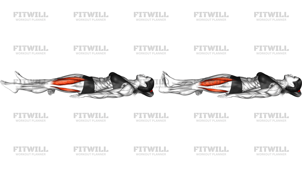 Static Quadriceps Contaction (Isometric)