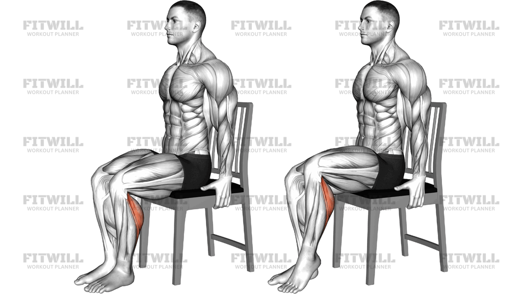 Seated Single Leg Calf Raise On A Chair