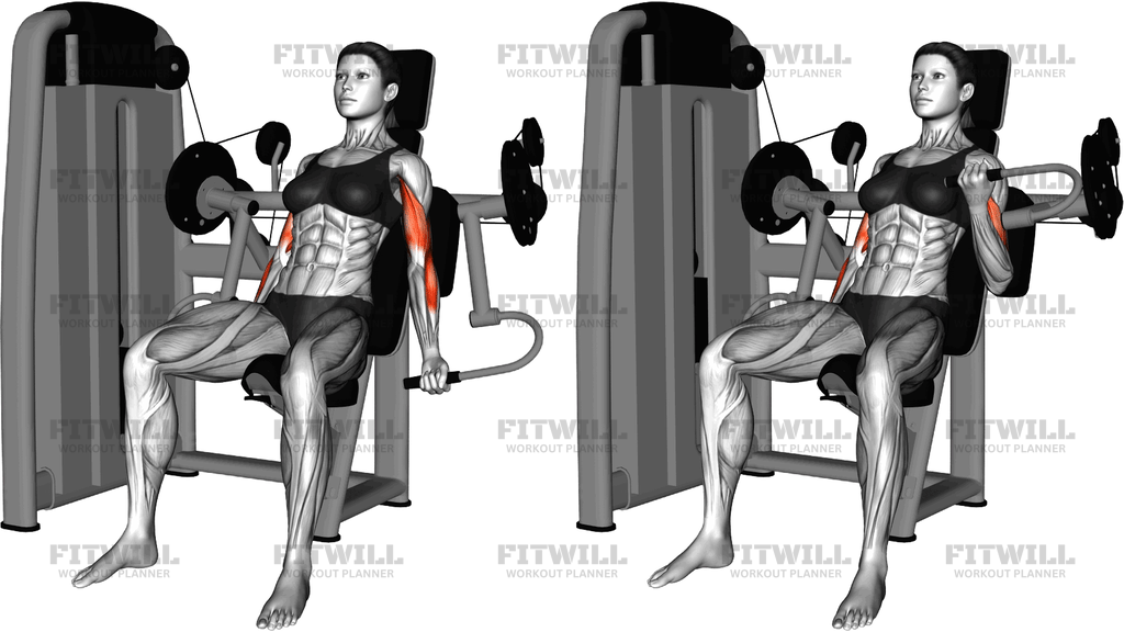 Lever Alternate Biceps Curl