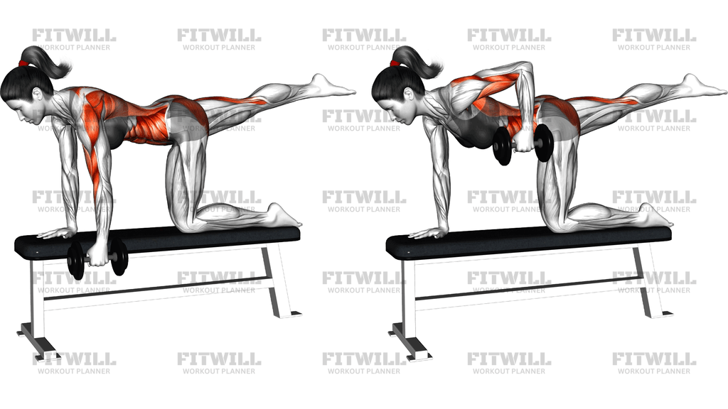 Dumbbell Single Arm Row (Bird Dog Stance On Bench)