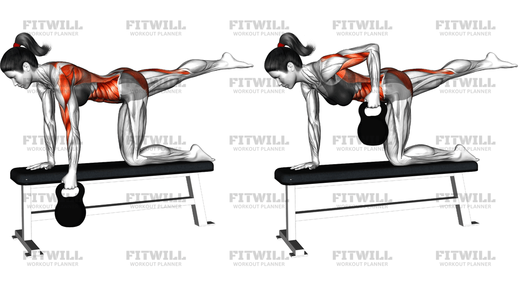Kettlebell Single Arm Row (Bird Dog Stance On Ben)