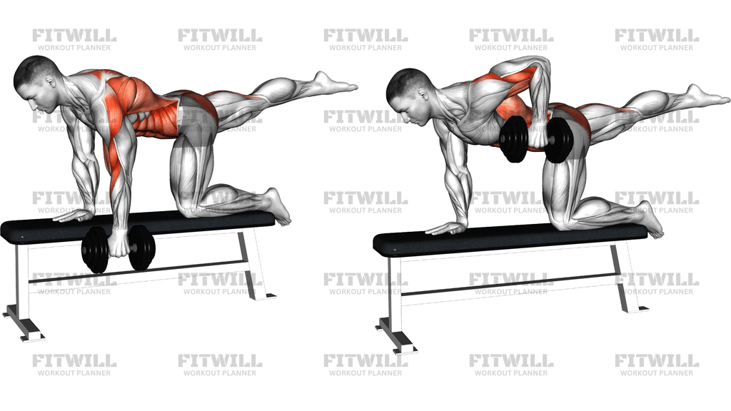 Dumbbell Single Arm Row (Bird Dog Stance On Bench)
