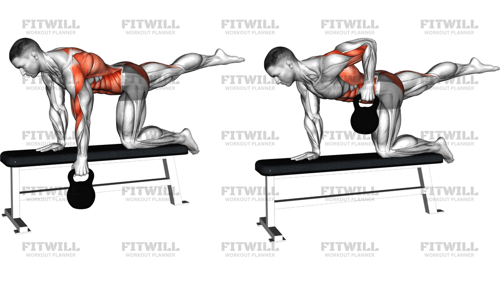 Kettlebell Single Arm Row (Bird Dog Stance On Ben)