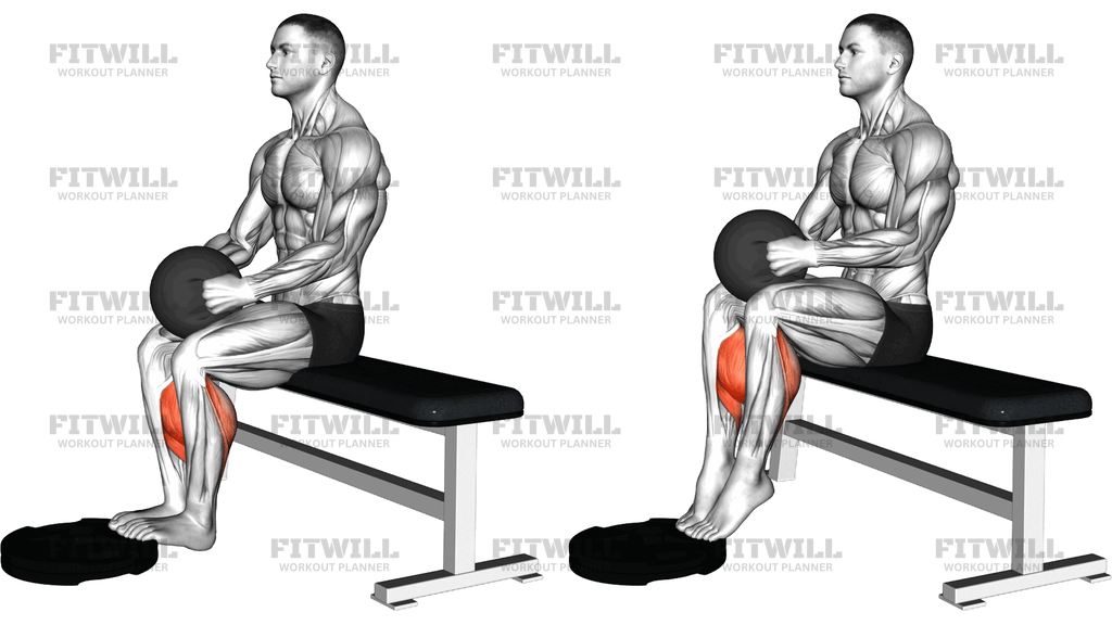 Medicine Ball Seated Calf Raise