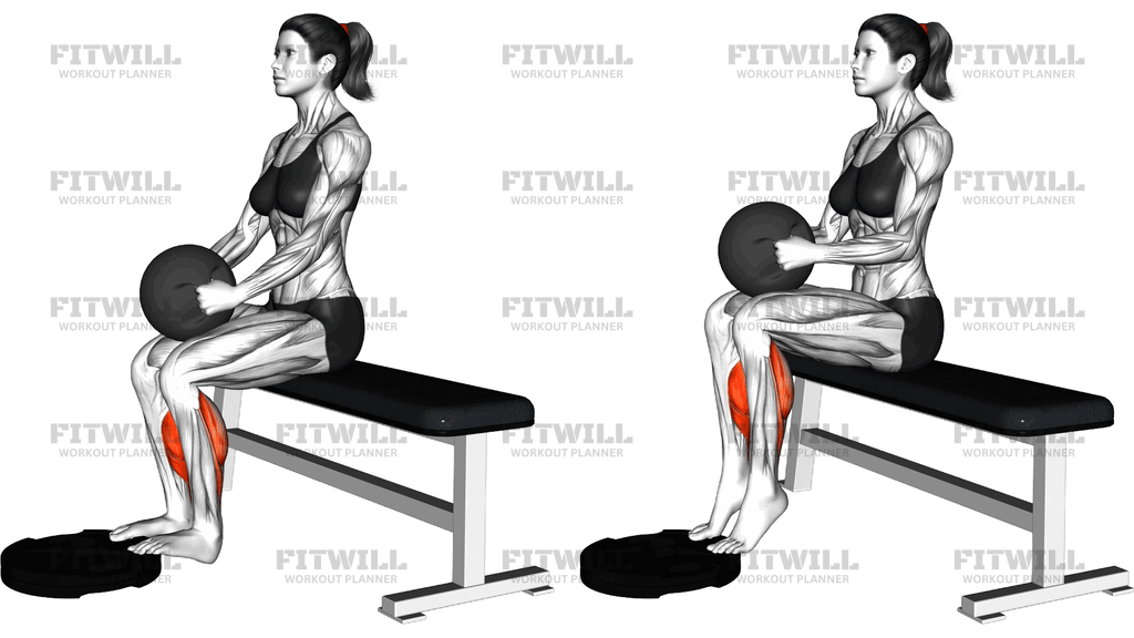 Medicine Ball Seated Calf Raise