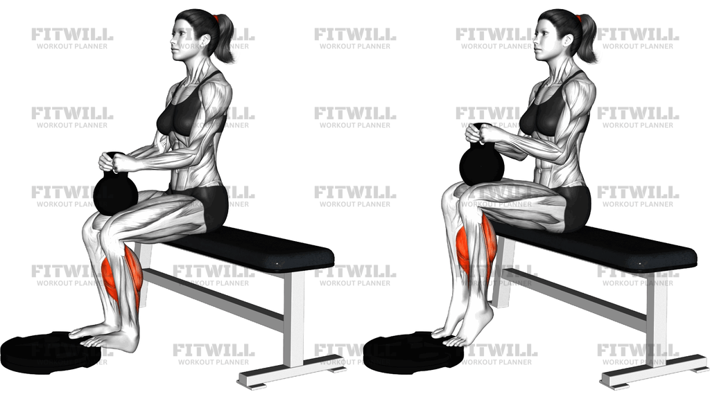Kettlebell Seated Calf Raise