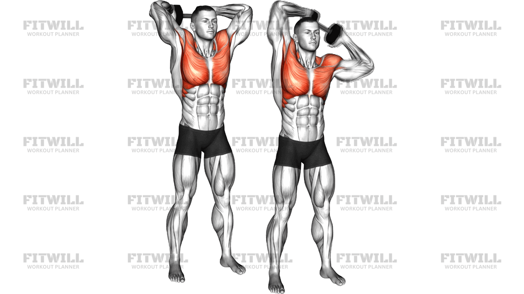 Dumbbell Standing Around Head Rotation