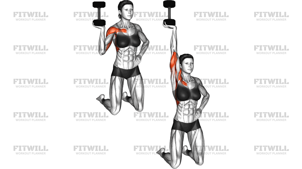 Dumbbell Kneeling One Arm Bottoms Up Press