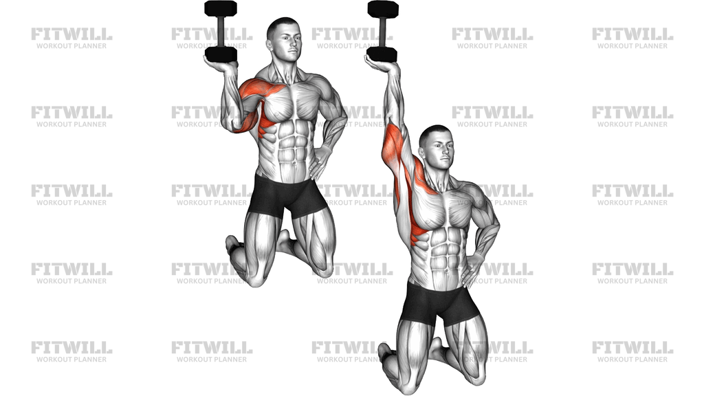 Dumbbell Kneeling One Arm Bottoms Up Press