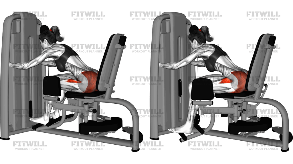 Lever Seated Leaning Forward Hip Abduction
