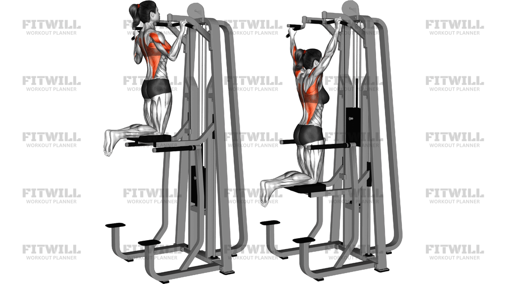 Lever Gravitron Assisted Wide Pull Up