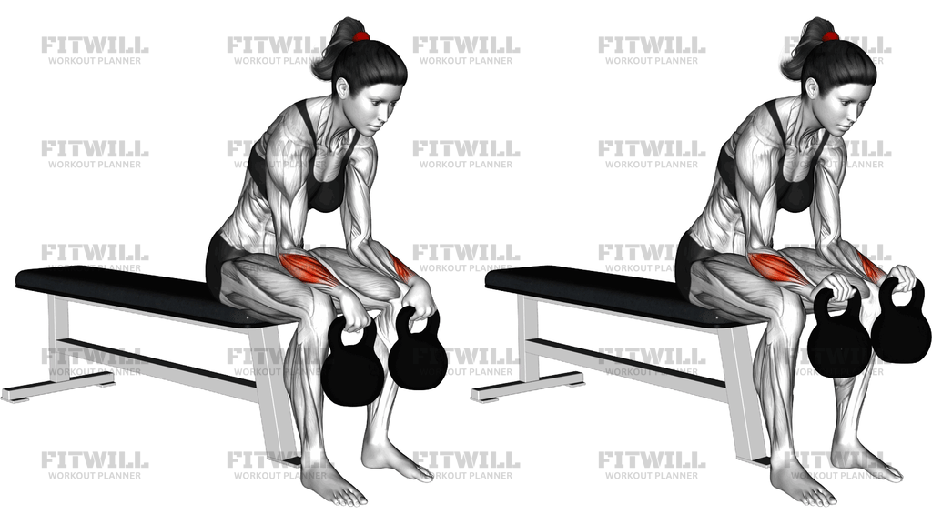 Kettlebell Seated Reverse Wrist Curl