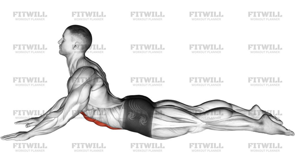 Lying Abdominal Stretch