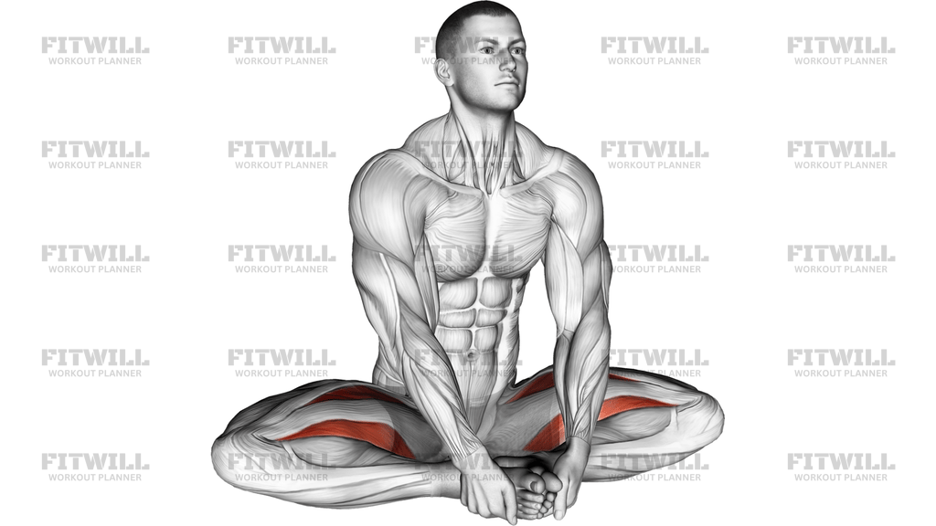 Seated Groin Stretch