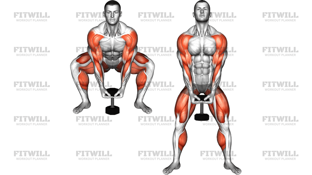 Dumbbell Sumo Deadlift High Pull