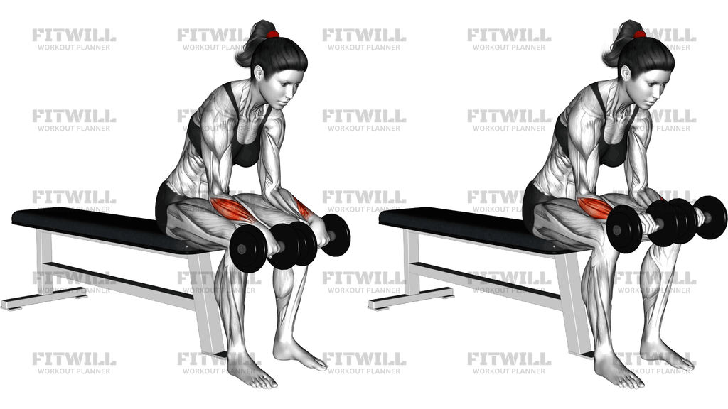 Dumbbell Reverse Wrist Curl