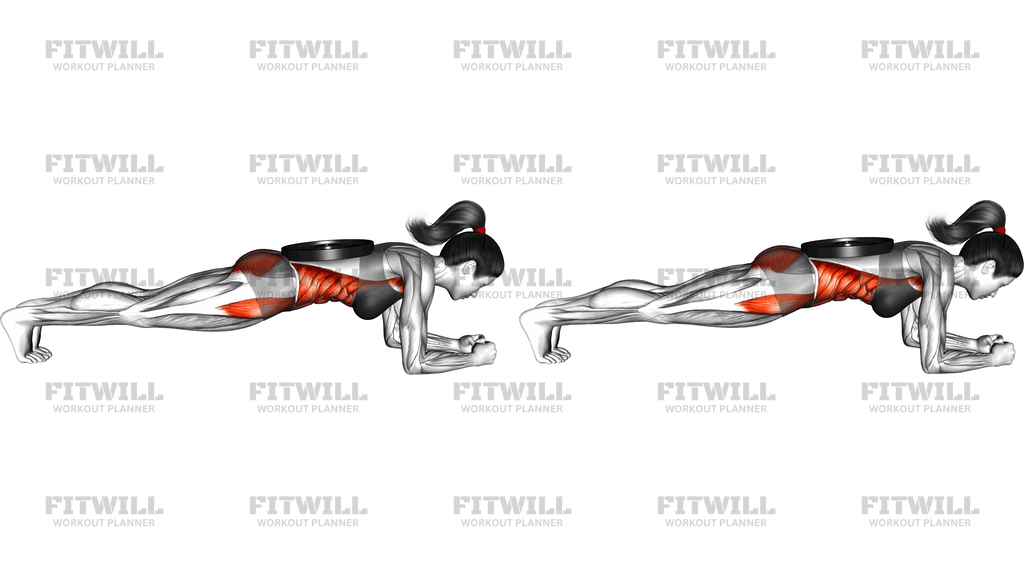 Weighted Front Plank