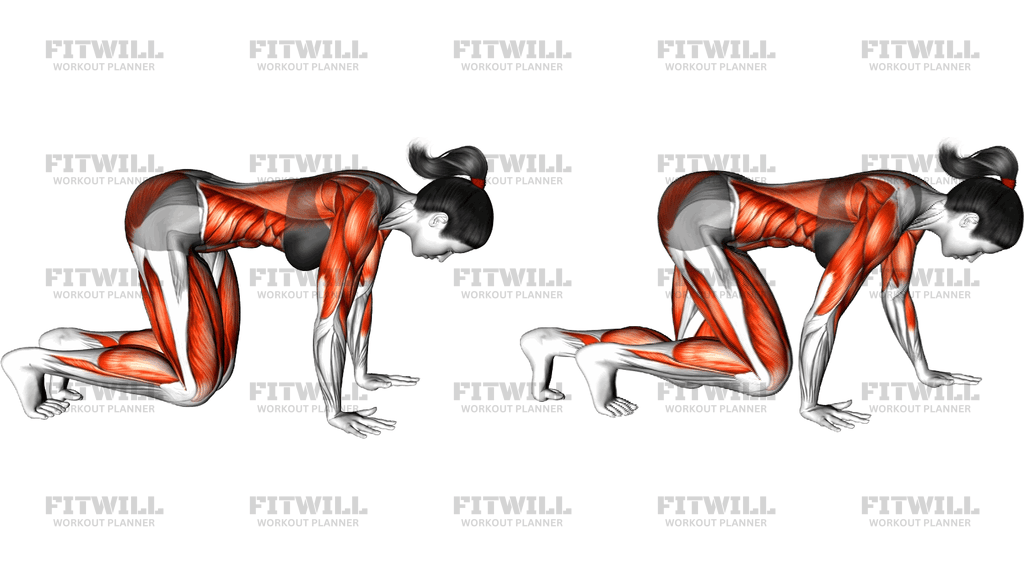 Bear Crawl (Low Hip)