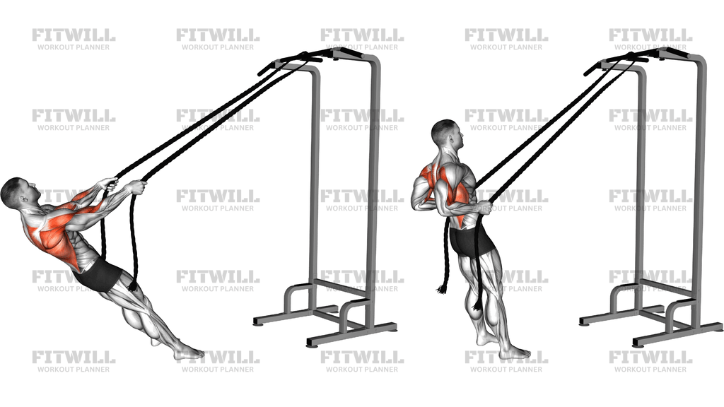 Bodyweight Rope Inverted Row