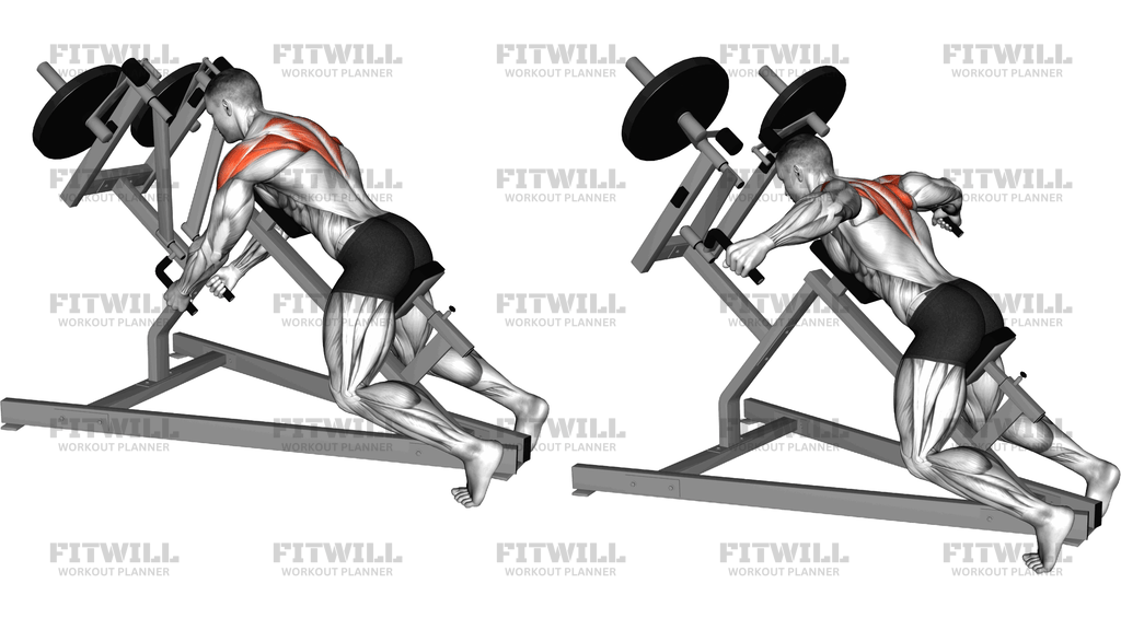 Lever Incline Chest Supported Reverse Delt Fly (P)