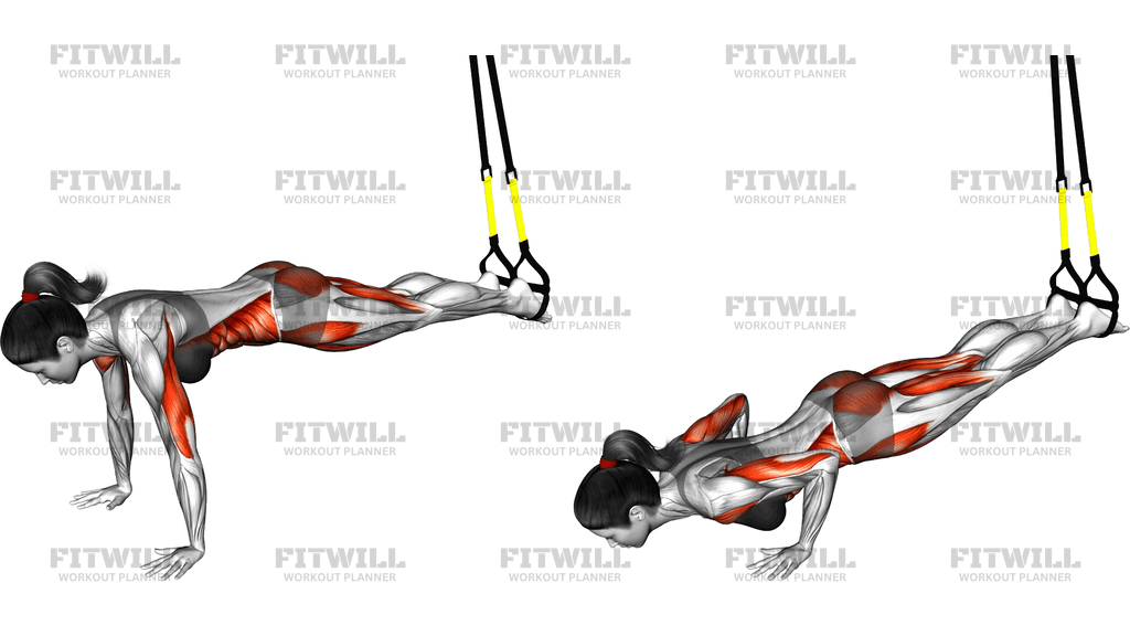 Suspender Push Up With Knee Tuck