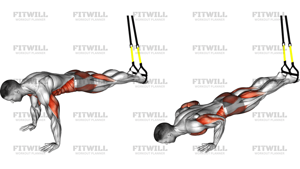 Suspender Push Up With Knee Tuck
