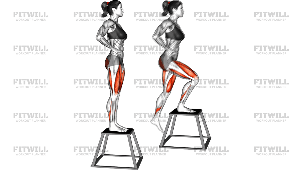 Bodyweight Step Down