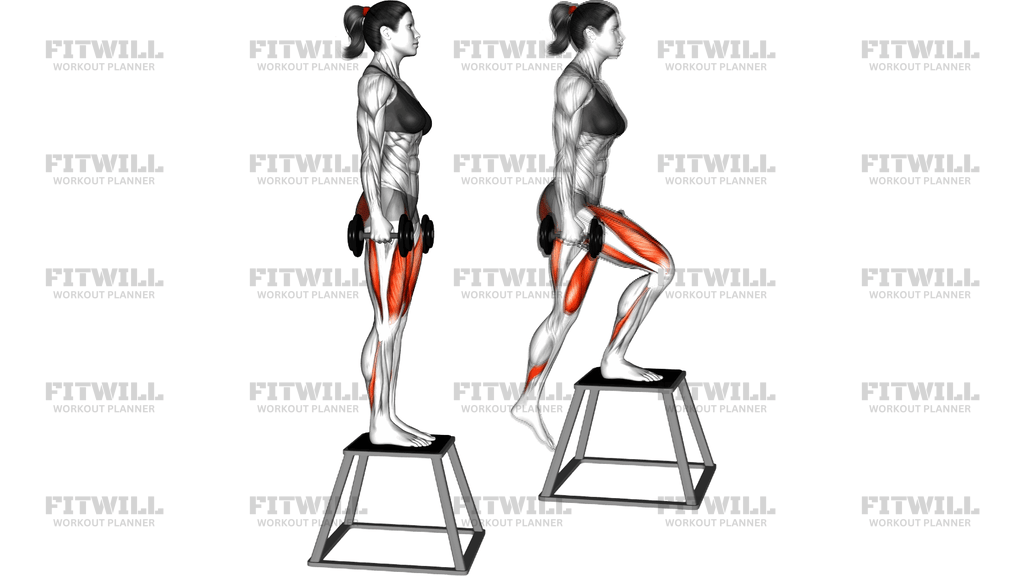 Dumbbell Step Down