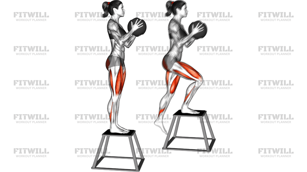 Medicine Ball Step Down