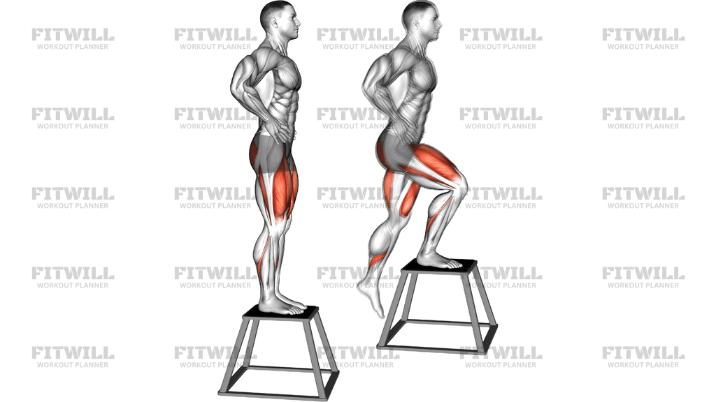 Bodyweight Step Down