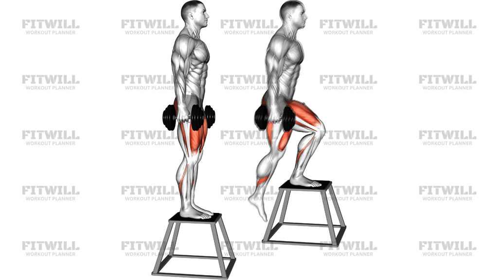 Dumbbell Step Down