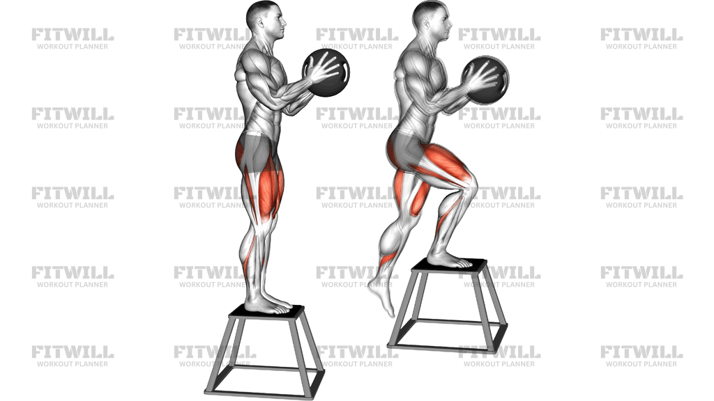 Medicine Ball Step Down