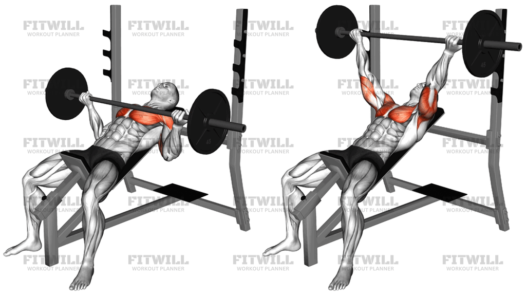 Barbell Incline Wide Reverse-Grip Bench Press: Exercise Guide ...
