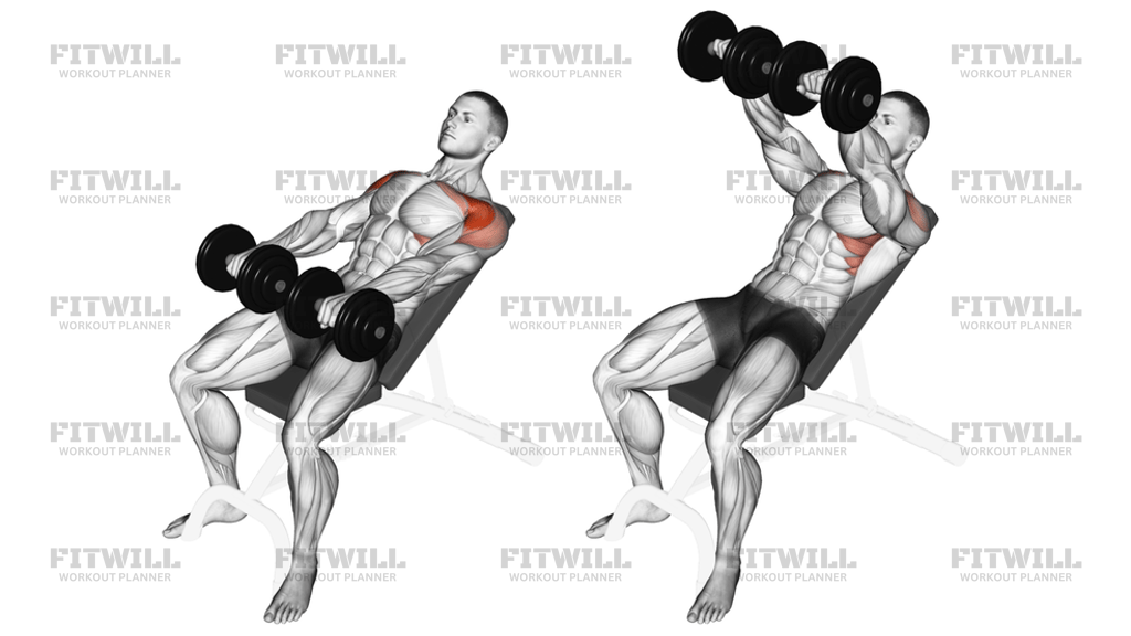 Dumbbell Incline Front Raise