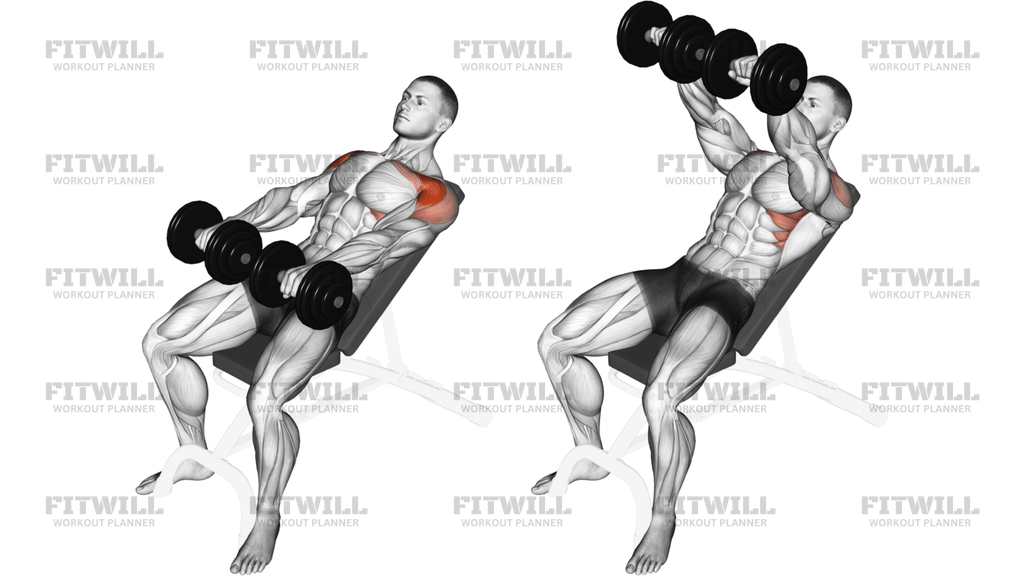Dumbbell Incline Front Raise