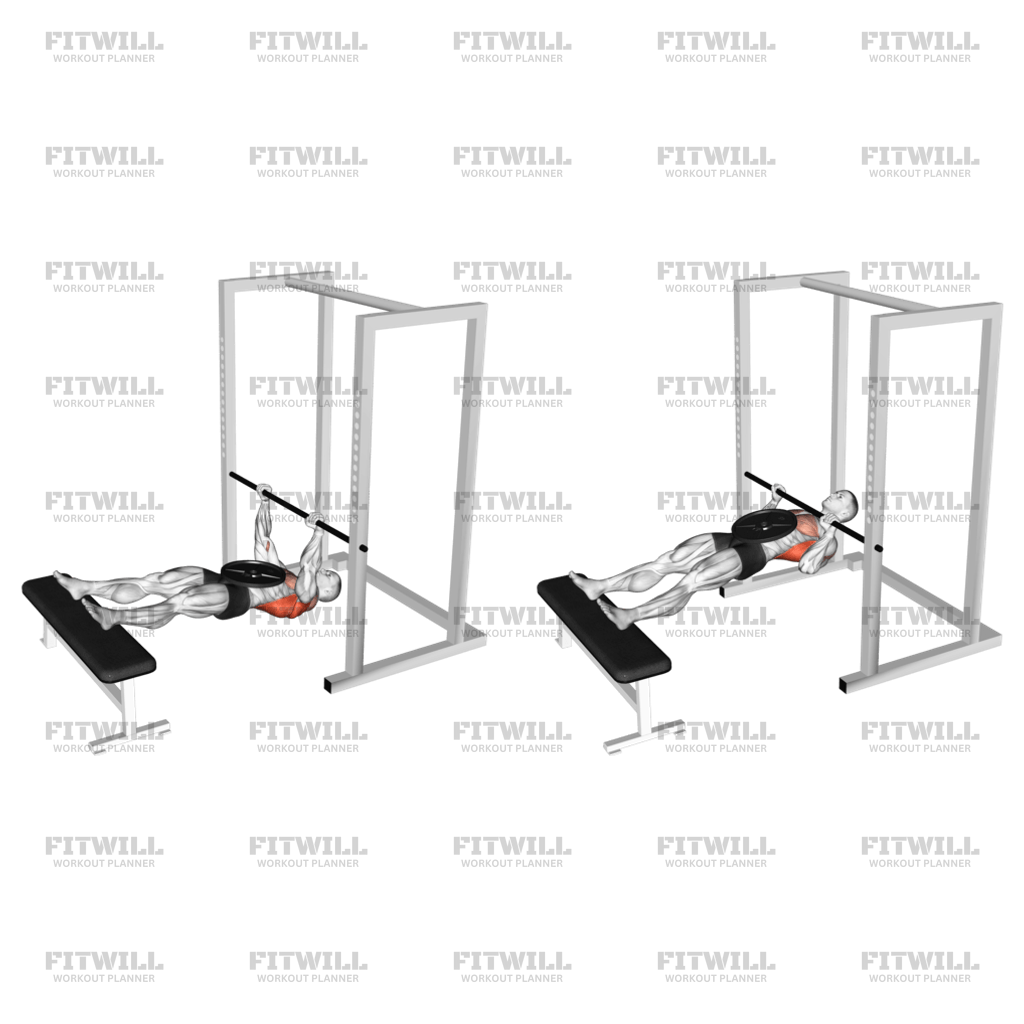 Weighted Inverted Row Exercise Guide Video Techniques Benefits How to Muscles Worked Tips Tricks Fitwill